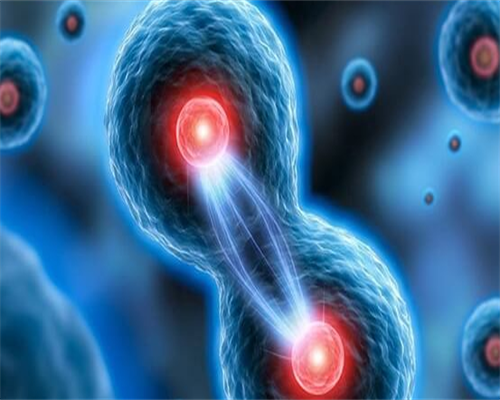 东莞试管婴儿多少钱-东莞可以做三代试管婴儿医院推荐-东莞供卵试管婴儿