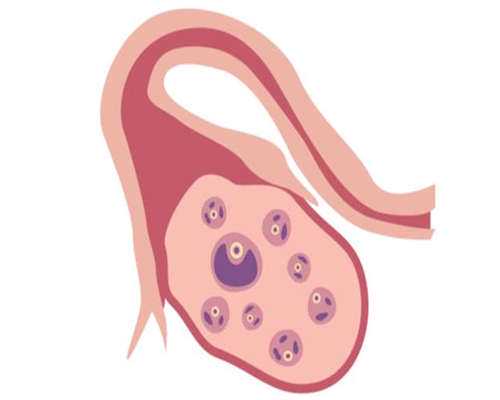 东莞供卵的人多吗，东莞陪产假多少天