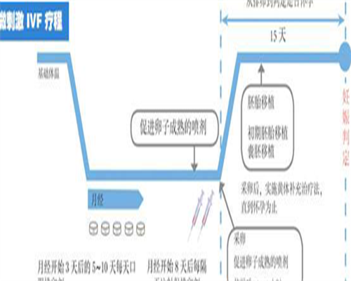 东莞试管婴儿价格咨询？对比东莞试管婴儿机构差异
