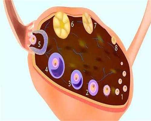 东莞代生宝宝网，东莞供卵异常成功（东莞东华医院有供卵吗）