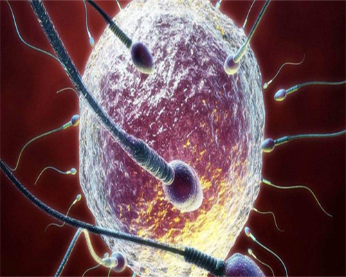 东莞第三代试管婴儿医院排名？附东莞第三代试管婴儿医院详情！