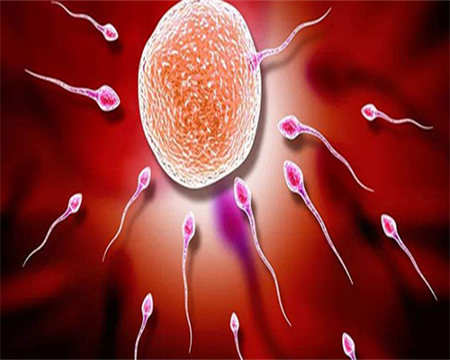 广州超高龄失独妈妈自卵再生育-试管助孕生子助孕机构