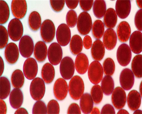 北京供卵代怀生宝宝，北京代怀代生孩子