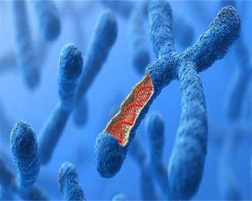 东莞三代试管费用清单！你一看就明白！