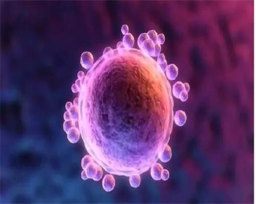 体制内，做了试管后才明白这些道理…