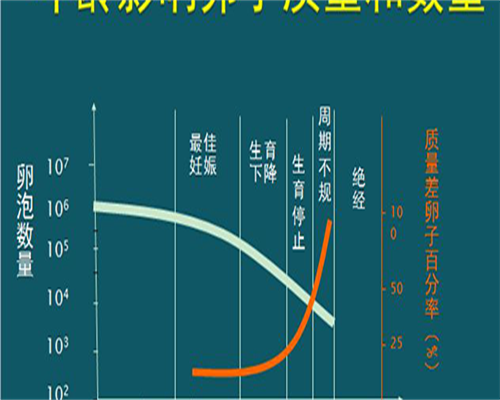 东莞试管哪里做得好些，东莞供卵怀孕：东莞供卵试管婴儿