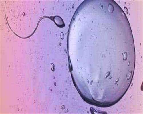 东莞三代试管机构预约流程,做试管有保障吗