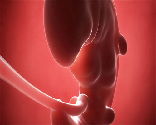 东莞试管婴儿医院排名