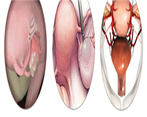 东莞合法助孕试管中心名单