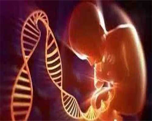 东莞哪有医院供卵，东莞做试管的医院有哪些，东莞做试管的医院及成功率介绍