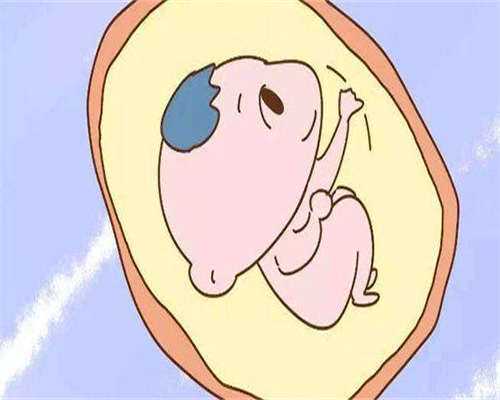 试管一促一移费用明细