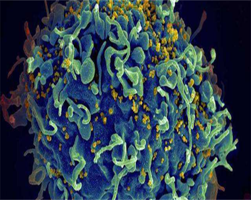 2026年在东莞正规公立医院做三代试管三代试管的费用是多少？