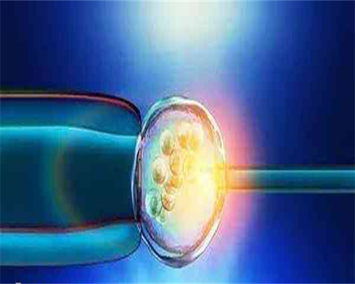 助孕正规中介_试管代孕怎么收费,胚胎检测7号染色体三体存在致死异常？都是哪