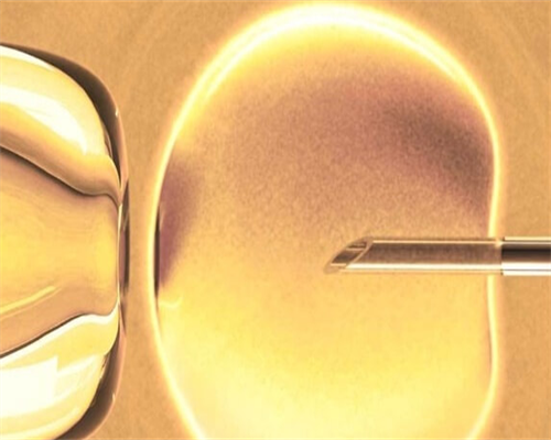 东莞代孕产子服务，东莞玛丽亚医院可以做试管婴儿吗？全程提供贴心服务