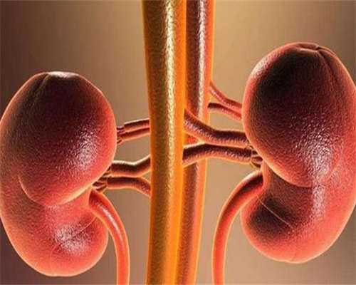 东莞三代试管婴儿代、第三代价格表！贵不贵看完便知！