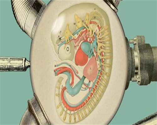 正规助孕包性别_35万包生儿子,绝经≠不能生孩子！能否怀孕还得看这4个指标