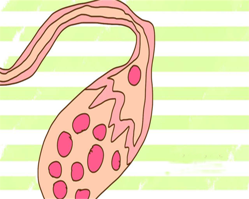 武汉试管供卵流程及费用，武汉供卵医院排名