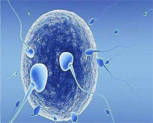 代孕东莞代生小孩，东莞供卵代怀代生（金贝供卵）