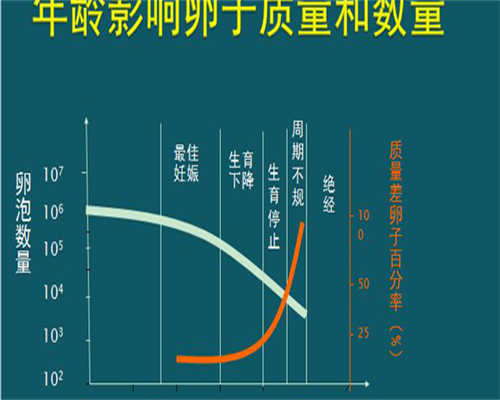 东莞三代试管婴儿助孕得花多少费用？