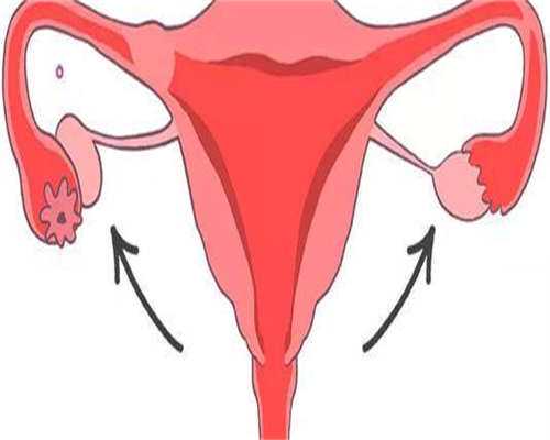 东莞正规医院供卵，东莞试管婴儿医院哪家好？