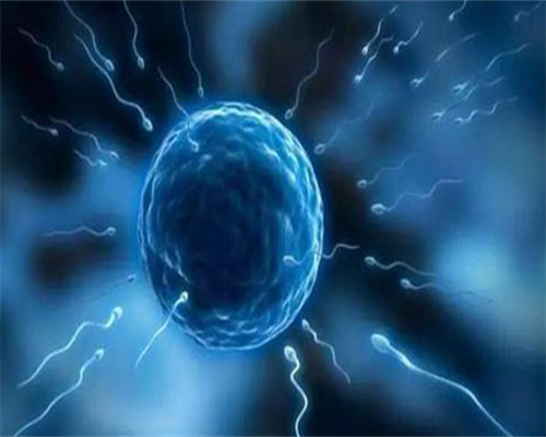 东莞第三代试管婴儿多少钱？取卵痛苦吗？