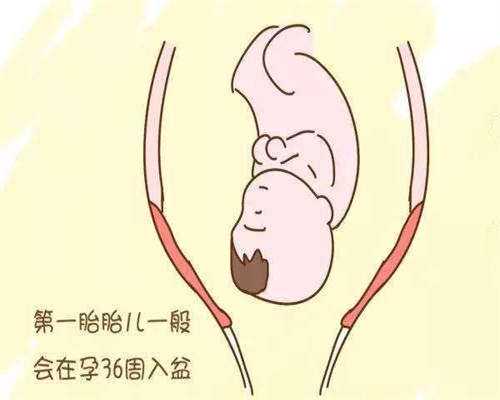 东莞2026人工授精机构推荐！附助孕机构一览！