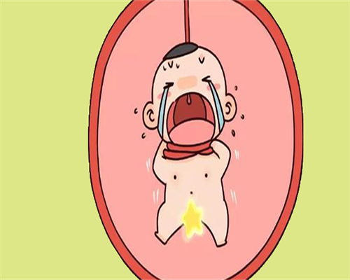 代孕成功几率:东莞东华医院能做三代试管选性别吗