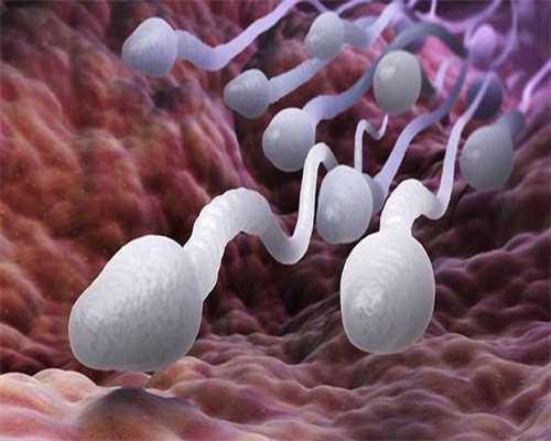 东莞三代试管婴儿大概多少钱？