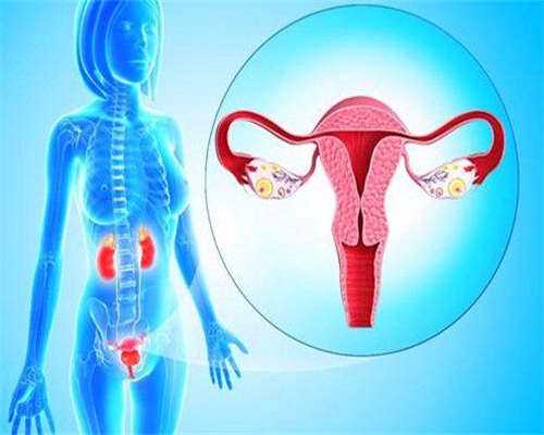 东莞正规助孕公司前十的有哪些