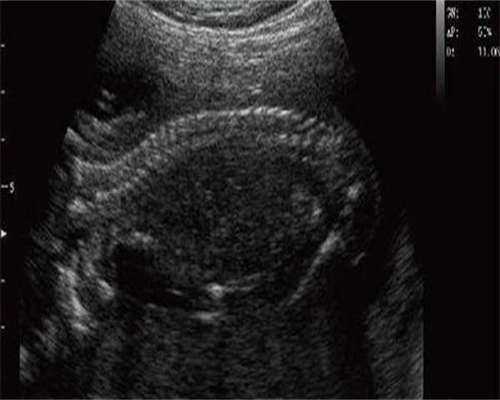 东莞比较大的助孕机构排名前十名,附详细对比