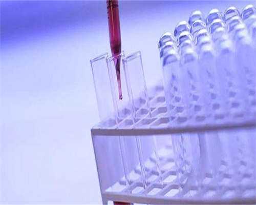 东莞助孕排名榜哪家技术好