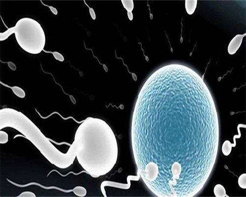 试管代孕婴儿身体会很差吗 试管代孕宝宝体质容易生病吗