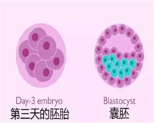 东莞供卵联系方式，2017年东莞产假新规定
