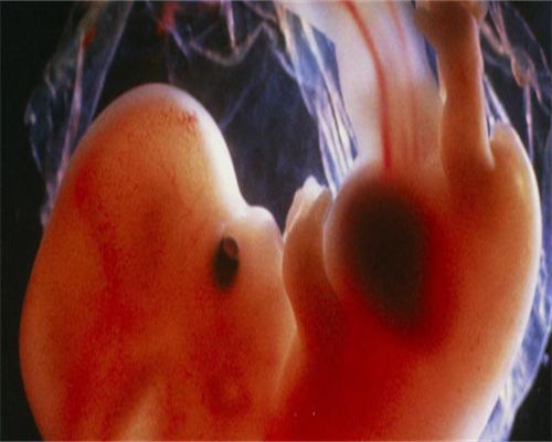 供卵东莞代生价格，东莞成功供卵成功率,东莞供卵试管能包成功吗