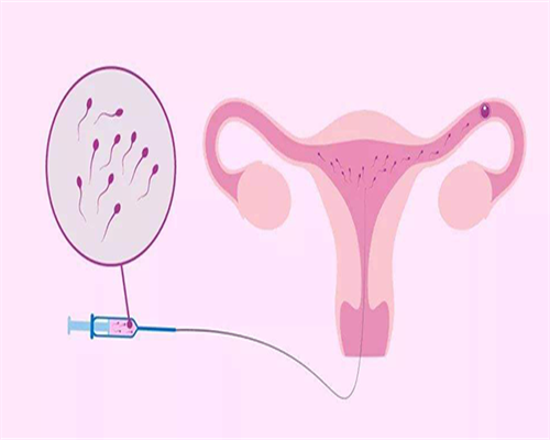 东莞代怀孕介绍,东莞试管成功率排名：看看东莞有多少医院