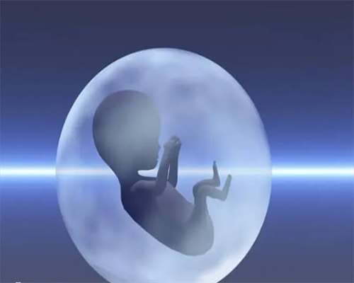 冻卵的复苏成活率