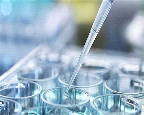 容易让胚胎着床的食物有哪些