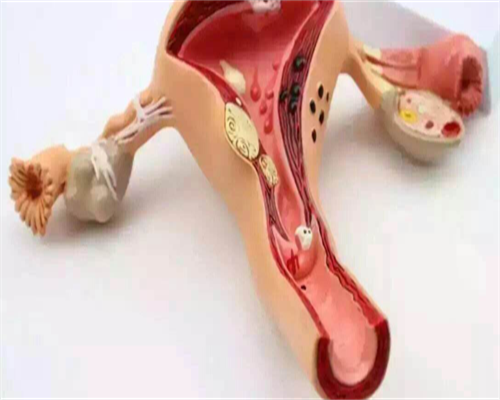 高龄试管生二胎必备的五大条件