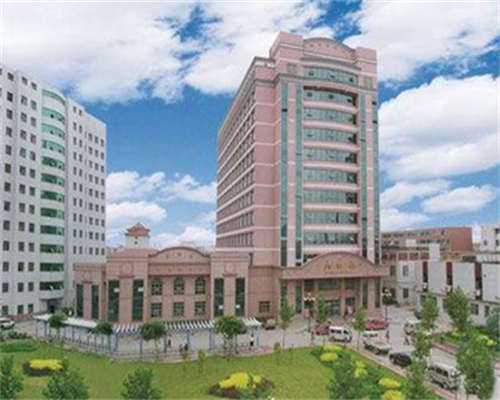 试管移植后14天内食谱推荐,移植后一日三餐食谱