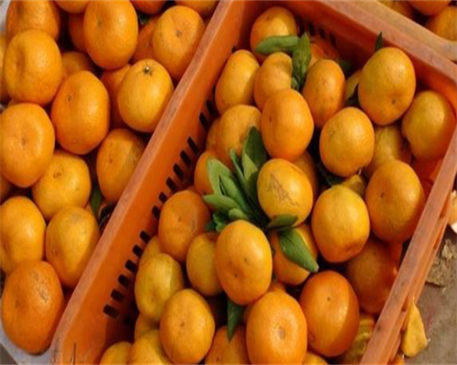 试管代孕婴儿囊胚级别代表什么？试管代孕婴儿的囊胚