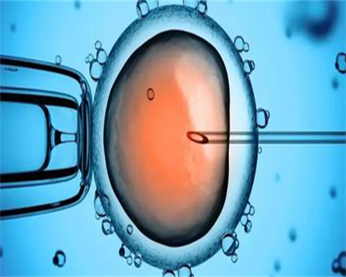 东莞三代试管助孕公司排名前三