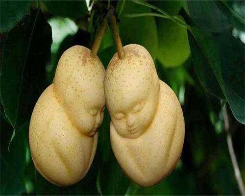 试管移植后hcg值翻倍不好还有成功的希望吗？