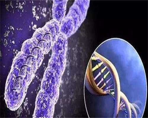 失独试管母亲是怎样的