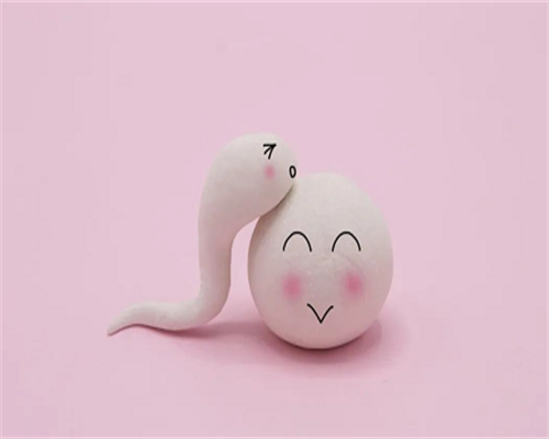 东莞代怀套餐,东莞试管包生男多少钱？去东莞做试管生男孩贵吗？