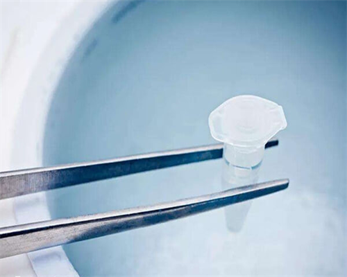 东莞代生小孩条件，东莞生殖医院，东莞生殖医院试管婴儿费用参考